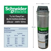 easycan blrcs250a300b44s